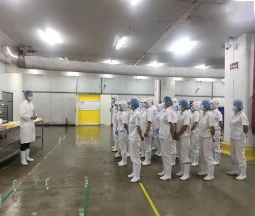 勞動競賽進行時，技能比武展風采，提質增效創佳績——中百生鮮公司中式面點加工廠職業技能大賽小記
